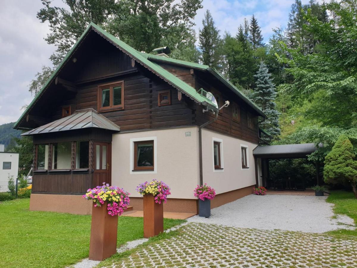 Freeride-Living Villa Annaberg im Lammertal Exterior foto